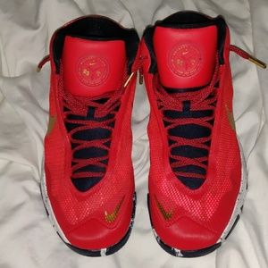 Nike Anthony Davis Audacity PE Shoes Men 12